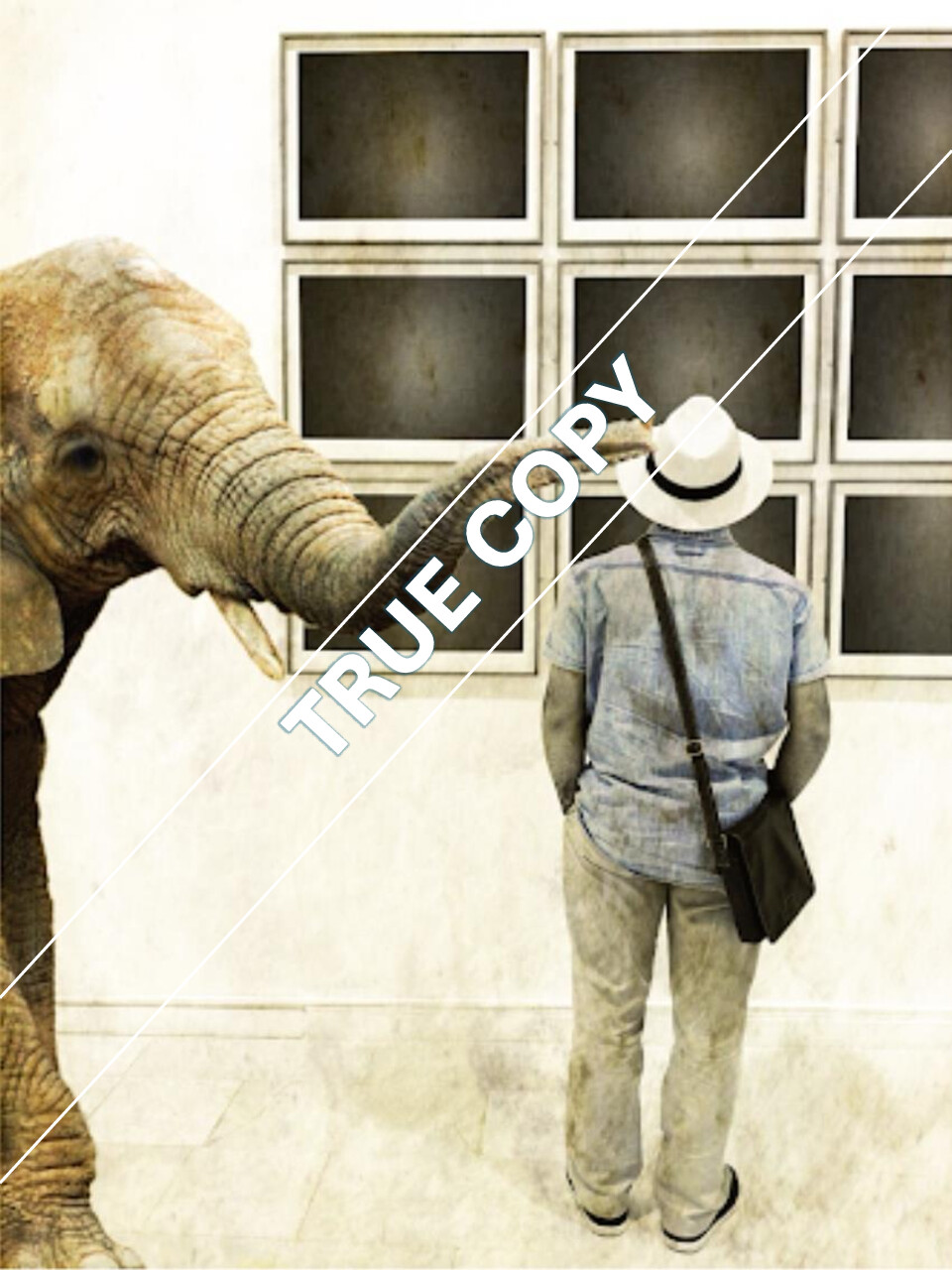 Gallery Visit Photo - Wild on Tour Collection