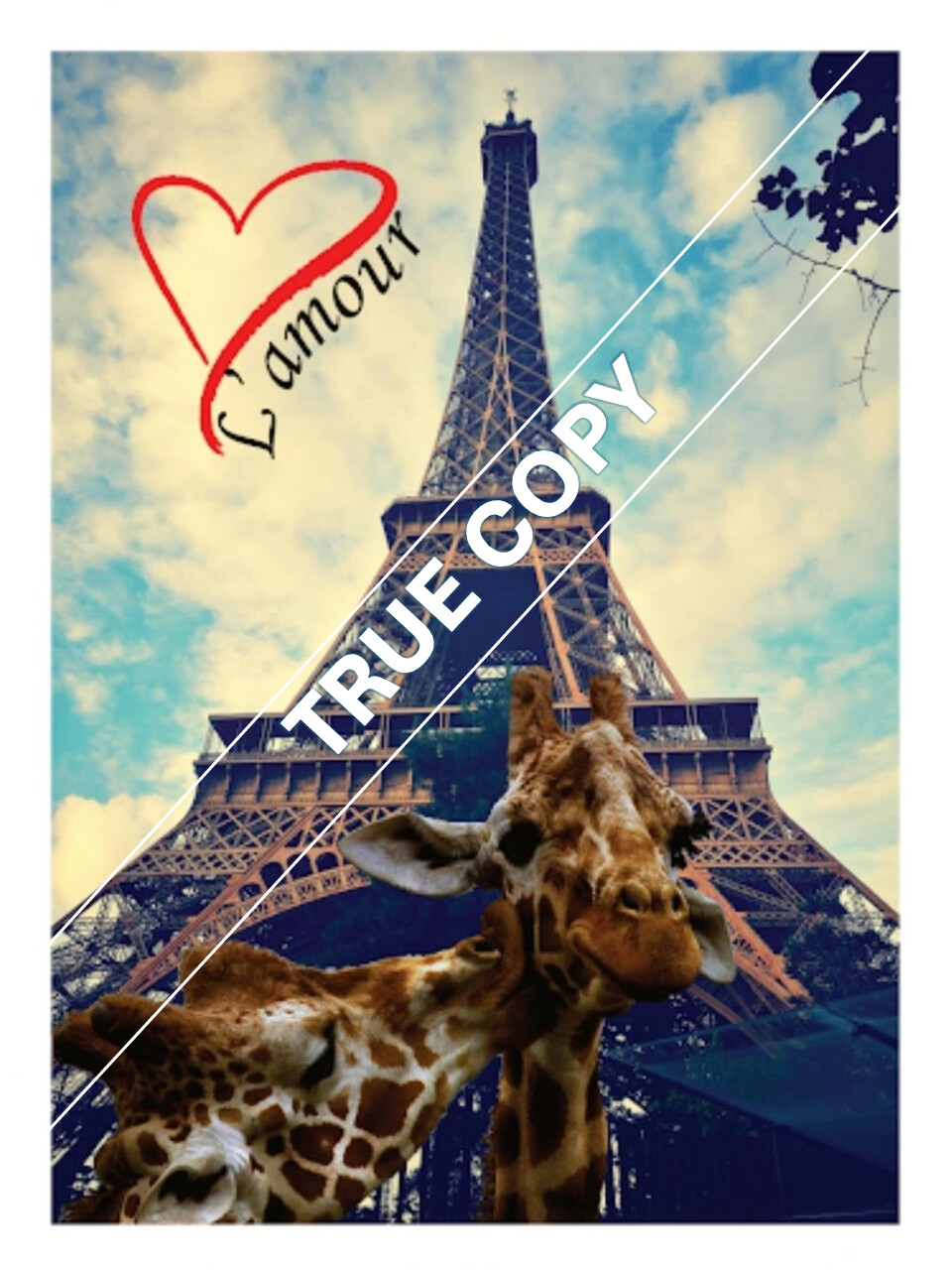 L'AMOUR IN PARIS Photo - Wild on Tour Collection